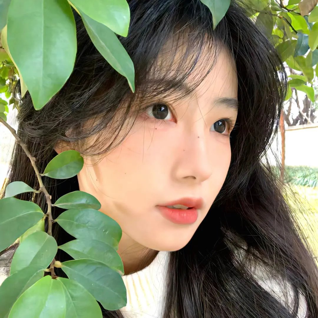 小白的男神爹地第一季